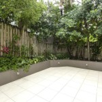 montague s